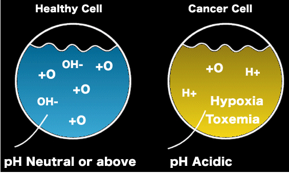 Cancer Cells