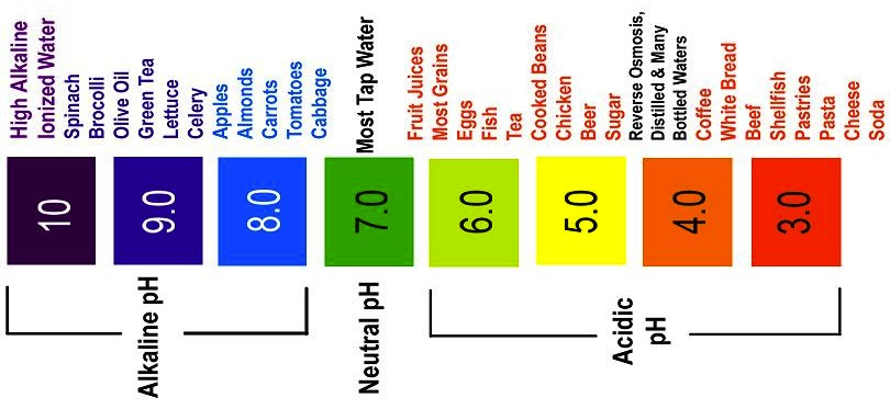 Alkaline vs. Acidic Which One Are You? - Laura London