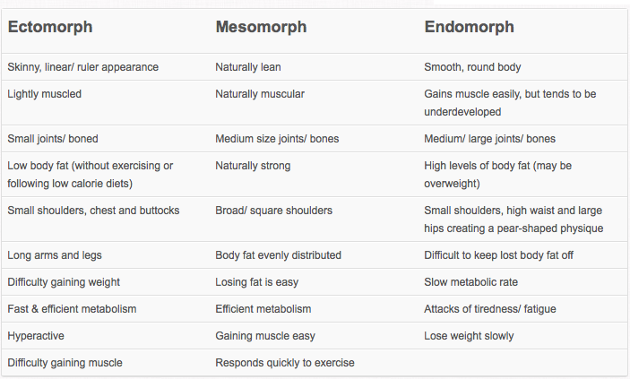 ecto endomorphs workout