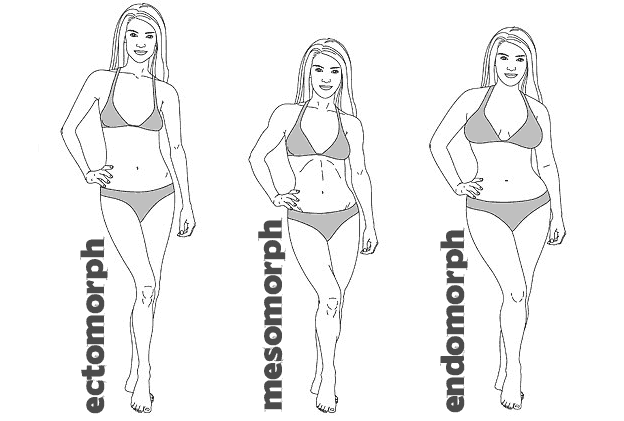 Body Types - Ectomorph, Mesomorph & Endomorph