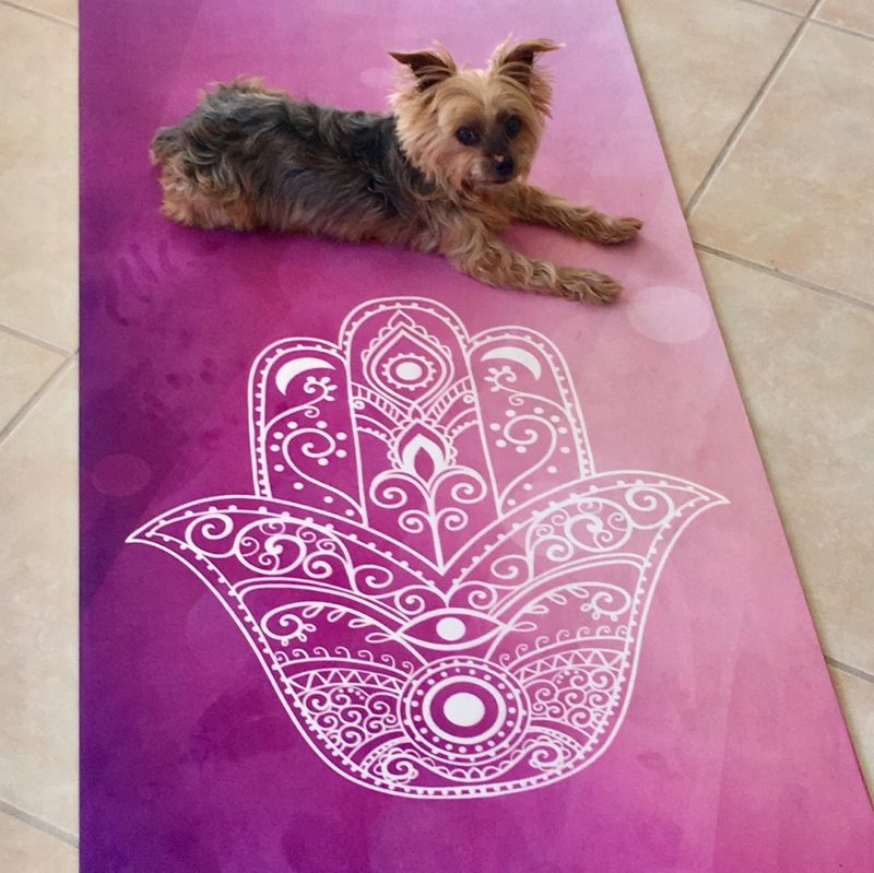 obsession yoga mat