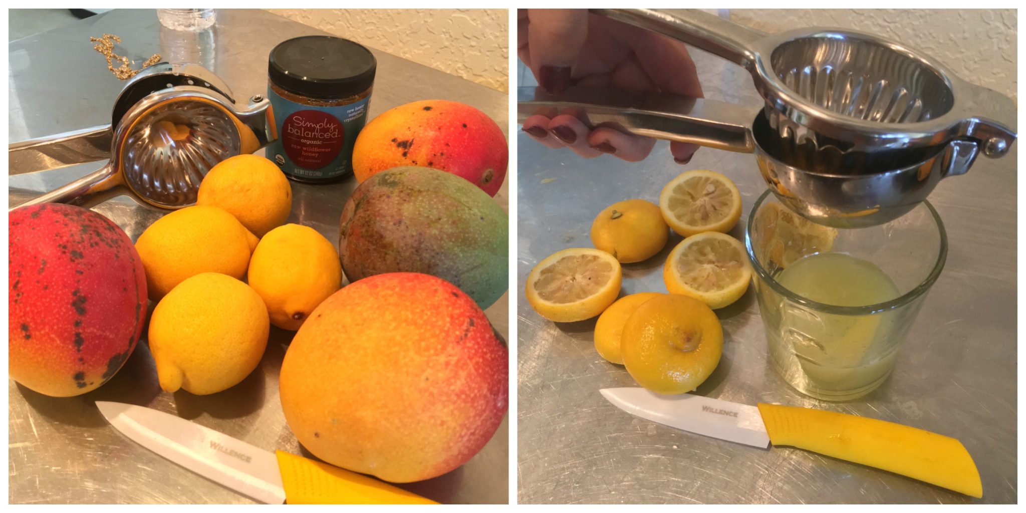 Excalibur Dehydrator Recipes Mango Home Alqu