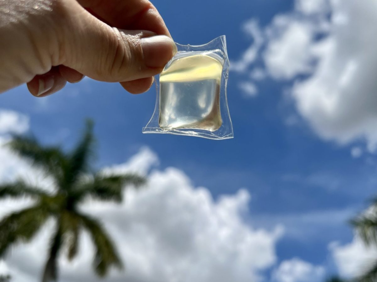 Dropps Plant Based Laundry Pods Review ⋆ Laura London Fitness