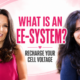 Love and Healing Energy EE-System